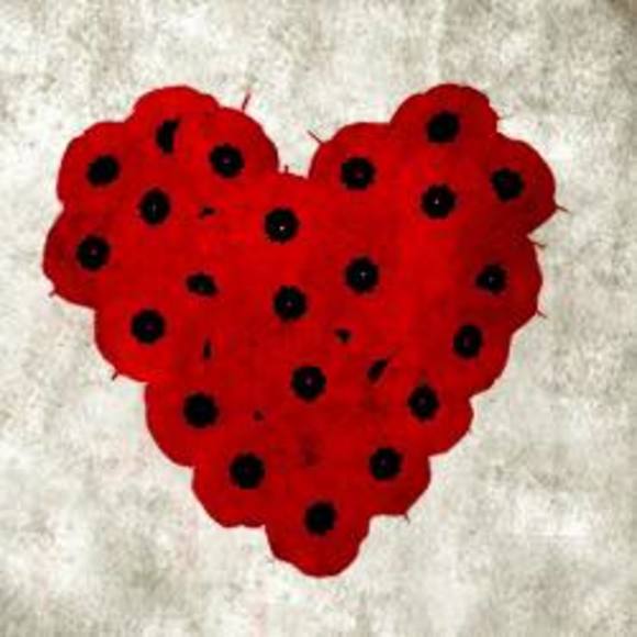 Meet your Posher, Amy - Picture 1 of 1